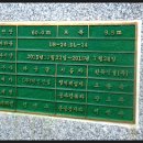 정금교
