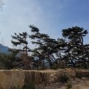 원주굽이길 원11코스 다둔인벌길 이미지