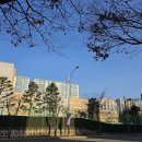 부평구 청소년수련관(체육관로76) 이미지