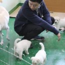 제주대해