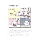 중동024 | 오유테마 / Oyou Studio / 아이폰 카카오톡 테마 / 카톡테마 추천 / 아이폰 카톡테마추천 / 고양이는못...