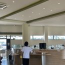개들랜드 | 부산 근교 애견카페 개들랜드 수영장, 셀프목욕, 샤워시설 리얼 후기(고장 이슈 포함)