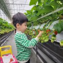 정후농장 이미지