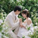 (주)토탈그린 | 그러너리 스튜디오비교 (다이렉트VS아이웨딩)