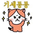 친정칼국수 이미지