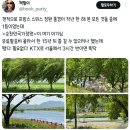 5월의 순천만국가정원 보고 가세요.twt 이미지