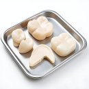 봄 치과기공소 이미지