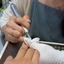 강남대로 현대제철 사옥 앞 | 강남역 네일샵 러블리네일아트에서 받은 호피네일 후기