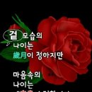 ♤蒲公英(포공영)♧ 이미지