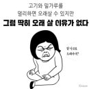 신세계를 찾아서 - | [밀가루 끊기 일주일 후기] 소화 안되는 사람이 신세계를 느낀 후기