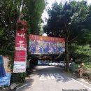 장흥 산벚나무길 | 양주 장흥계곡 맛집 <솔내음> 발 담그고 백숙 시원하게 먹어요!가격 맛 후기!