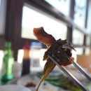 서파장어랜드 이미지