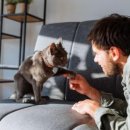 (주)인가온 이미지