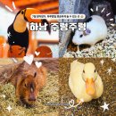 하남유니온로 | 7월 장마기간 경기도 실내 가볼만한곳, 하남 스타필드 주렁주렁 실내동물원