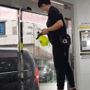 영대세탁 이미지