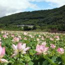 냇강마을 이미지