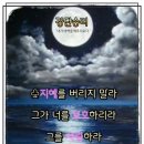 샬롬 Daum카페