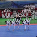 인하코리아 태권도 이미지