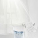 괴정동물병원 이미지