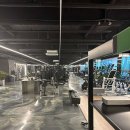 이지피트니스 이미지