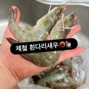 흰다리새우 제철 8월 신선한 흰다리 새우 맛본 후기