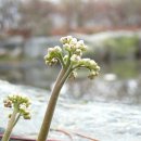 칠보중학교 이미지