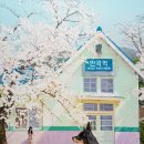 나들이 이미지