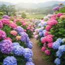 휴림원 | SNS를 물들인 수국! 청량한 여름 여행, 최고의 수국 명소에서 인생샷 건지세요!