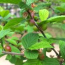 홍인파크 이미지