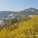 191카페 이미지