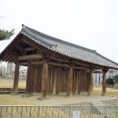 강릉이래요