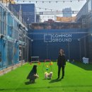 멍그라운드 이미지