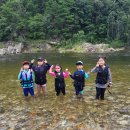 비금농장 | 양양 전통시장 장칼국수 맛집 미가손칼국수 후기