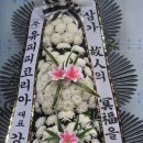 (주)유피피코리아