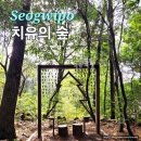 치유의 숲 쉼팡3 화장실 | 서귀포 치유의숲 예약 없이 탐방 코스 입장료 주차