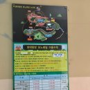 13개월 아기와 국내여행 ② 경북 구미 | 에코랜드, 금리단길 카페, 구미새마을중앙시장