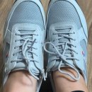 슈올즈 괴정점 이미지