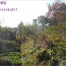 구암동427 이미지