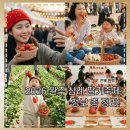 삼례 공용터미널 | 완주삼례딸기축제 2026 기간 체험 가수 숙소