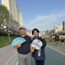 조국혁신당 부산 온천천 영남 유세와 자봉단 이미지