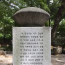 주식회사 자연스레 네이버블로그