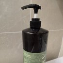 동안비결Beauty | [BEAUTY] 탈모 샴푸 1위 바디브 마테 루트 샴푸, 두피 뿌리부터 달라진 사용 후기