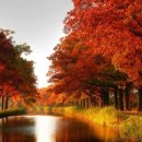 여의서로1길 이미지