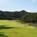 투그린(2GREEN) 이미지