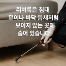 미소약국 | 청주 약국 쥐퇴치 후기 – 외부 공터 쥐굴부터 유입구 차단까지 완벽한 방역! [미소창방역]