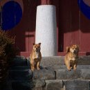 서천향교 이미지