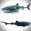 퍼니소프트 이미지