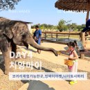 쇼피플리 | Day4 코끼리체험가능한곳for the good times,징짜이마켓,나이트사파리 꼭 가야할곳인가 찐후기:)