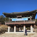 무릉도원면-51 이미지