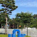 야구전설로 | 24년 5월 17일 금요일 삼성 vs 한화 대구 삼성라이온즈파크 3루 익사이팅석 후기